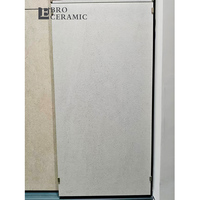 Dalles de sol extérieures antidérapantes 60x120, couleur blanche, aspect grès, 20 mm, pavés extérieurs