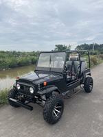 Nouveau UTV 300-350cc 2-4 places essence/gasoline, Side-by-Side 4x4, Dune Buggy, ATV 351-450 ch pour enfants et adultes