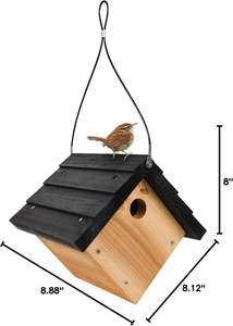 Groothandel Kleine Schommel Pet Kooien & Nest Huisjes Duif <span class=keywords><strong>Bird</strong></span> House Outdoor Houten Fokkerij Box Voor Vogel - Product Image 2