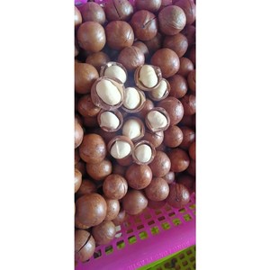 Macadamia entera en cáscara crujiente asado Snack OEM ODM Servicio personalizado Ideal para el mercado de exportación - Product Image 2