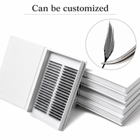 Extensions de cils Premium Anime Lashes Comic Spire Lashes Wispy Spike Premade Fans Easy Fan pour professionnels de salon