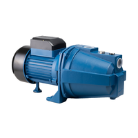 Dc Bombas De Agua 1Hp Surface domestique pompe à eau électrique auto-amorçante Jet-100 pompe pour un usage domestique