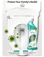 Tablettes nettoyantes WC détartrantes Green Island au puissant parfum de citron, formule 5-en-1, élimine les odeurs et élimine la tache jaune d'urine