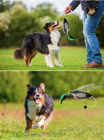 Jouet de dressage pour chien de chasse, canard flottant en EVA, leurre réaliste pour la chasse au canard, idéal pour l'entraînement en extérieur