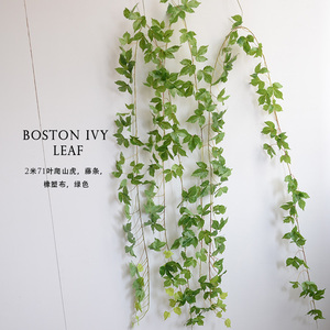 Guirnaldas de Plantas Artificiales de 2 Metros, Enredaderas de Hiedra Artificial para Decoración del Hogar, Dormitorio, Cocina, Oficina, Pared, Patio, Estantería - Product Image 5
