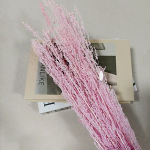 100 Grammi di Fiori Secchi Sbiancati, Erbe e Fiori Conservati, Adatti per Decorazioni Aromaterapiche con Candele Ennio Morlotti - Product Image 5