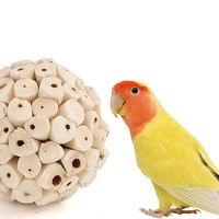 Suikerzweefvliegtuig Kokosnootschelp Vogelschuilplaats Nest Papegaai Nest Kokosnoot Kweekhuis Met Ladderspeelgoed