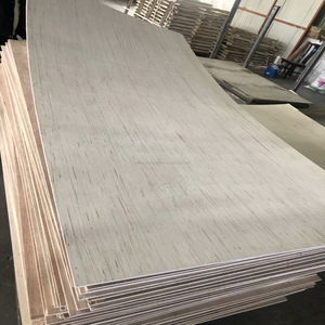 <span class=keywords><strong>Compensato</strong></span> da ricognizione con anima in pioppo bianco 4X8 da 28 <span class=keywords><strong>mm</strong></span> per il pavimento del contenitore di spedizione dalla Cina - Product Image 4