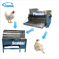 Machine à échaudage et à épluchage de poulets, machine à déplumer les volailles, capacité 10-15 poulets, prix compétitif