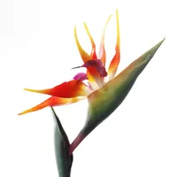 Qslh v743 flor do céu único toque real artificial de alta qualidade flor