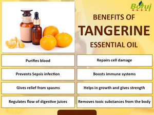 Aceite Esencial de Mandarina 100% Puro y Orgánico, Extracto Herbal Silvestre para Aromaterapia, <span class=keywords><strong>Piel</strong></span> y Cabello - Product Image 5