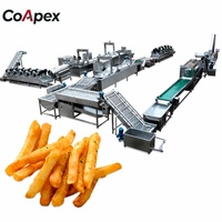 Automatische friet-, fruit- en groenteverwerkingsmachine voor standaardproductie, 300-500 kg/uur, geschikt voor professionele B2B-toepassingen.