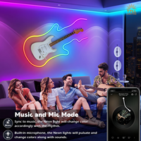 TTLL Neon Flex 02 Bande LED néon RGB étanche IP65 24V DC en silicone flexible avec garantie de 5 ans, intensité variable pour chambre à coucher
