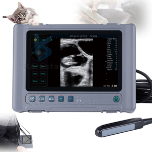 Échographe vétérinaire portable pour la détection précoce de la gestation chez les ovins, caprins et porcins - Product Image 1