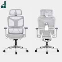 Chaise de bureau ergonomique haut de gamme à dossier haut et entièrement en maille, avec support dorsal en alliage d'aluminium argenté et accoudoirs 5D modernes et réglables