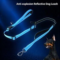 Laisse pour chien en nylon réfléchissante et anti-explosion, très vendue, pour chiens de grande, moyenne et petite taille, avec fil réfléchissant