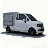 Camion de transport de marchandises approuvé à prix bon marché CEE COC Mini voiture Fourgonnette de livraison familiale Véhicule de transport de marchandises électrique