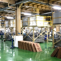 Macchina per la Produzione di Detersivo in Polvere per Funzionamento Continuo 24/7