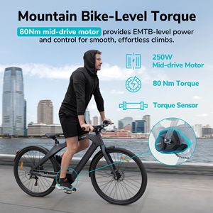 Bicicleta Eléctrica Engwe N1 Pro con Motor de 250W Estándar Europeo, Bicicleta Urbana de Carbono con Tracción Media, Equipada con Rastreo GPS en Tiempo Real - Product Image 1