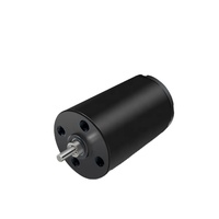 Moteur DC sans noyau 22 mm 12V 24V 8379 tr/min à faible vibration pour appareil de beauté, pistolet de massage, ventilateur portable
