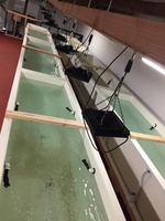 Gros frp grp en fibre de verre piscine coquilles