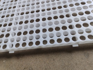 Panneau de sol perforé en PP blanc pour l'élevage de poulets - Product Image 4