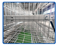 Cage à poulets en fil d'acier galvanisé pliable, best-seller en Afrique, pour élevage avicole