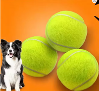 Balle pour animaux de compagnie en caoutchouc élastique, style tennis, résistante à l'usure, jouet interactif pour l'entraînement et le jeu de rapport, accessoire pour le nettoyage des dents, 6,3 cm