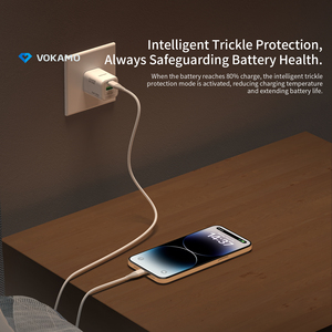 Le <span class=keywords><strong>chargeur</strong></span> USB C 20W GaN PD PPS bloque les chargeurs rapides, adaptateurs d'alimentation USB-C 20W pour <span class=keywords><strong>MacBook</strong></span> <span class=keywords><strong>Air</strong></span>, pour iphone - Product Image 4