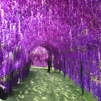 Guirlandes artificielles longues de glycine et de fleurs de haricot en gros, directement de l'usine, pour décorations de mariage, lianes florales suspendues pour plafonds intérieurs