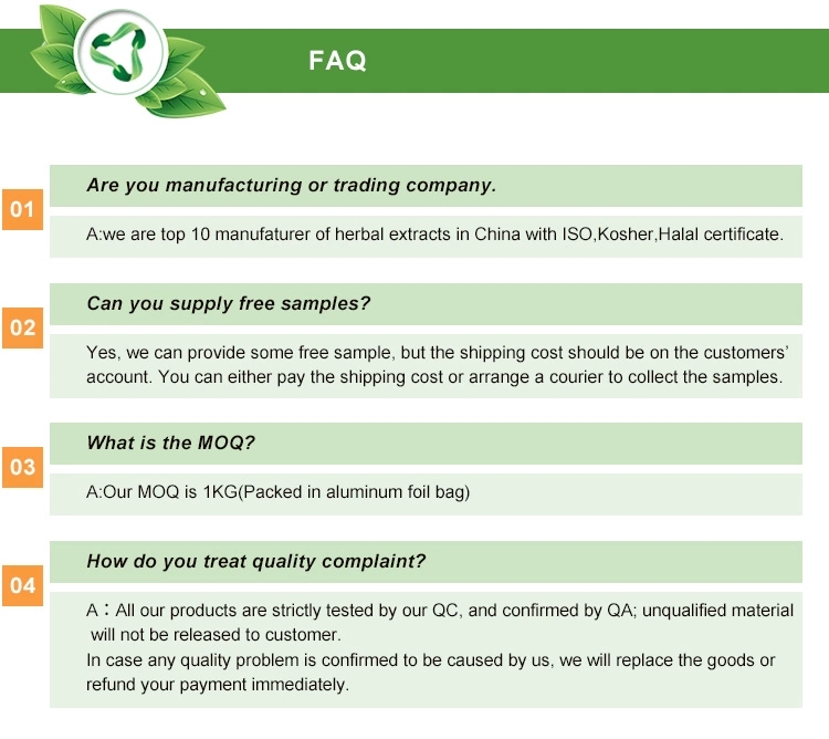 Polygonum Cuspidatum Extract Resveratrol 98% powder