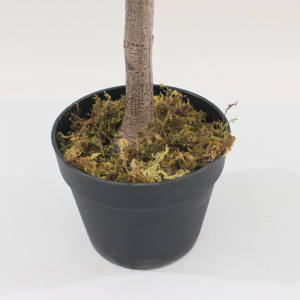 ต้นไม้ประดิษฐ์ใบมะเดื่อพลาสติก/ผ้า รุ่น JWS4037 เป็นมิตรกับสิ่งแวดล้อม ขนาด 120-180 ซม. สำหรับตกแต่ง<span class=keywords><strong>บ้าน</strong></span>และสวน - Product Image 4