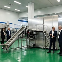 IQF Tunnelvriezer voor fruit, IQF 1 ton/uur tunnelvriezer, snelvriesmachine voor groentenopslag in koelcel