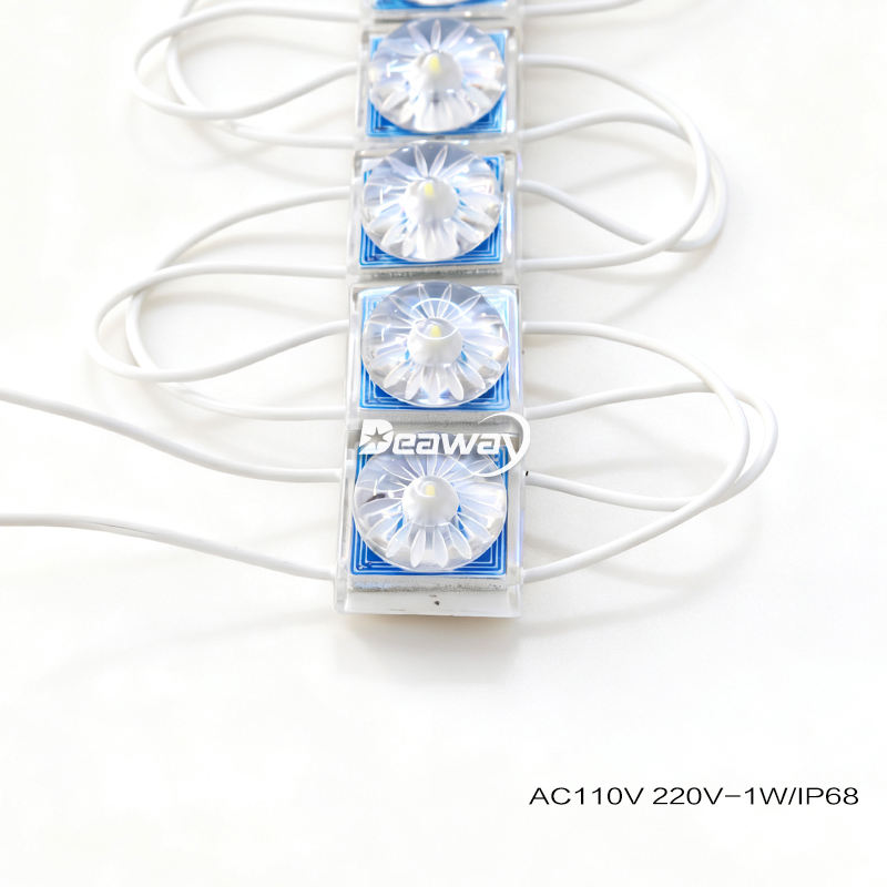 AC 110V / 220V Diffuse Reflection Lossless Module 1W 1LEDs Outdoor ...