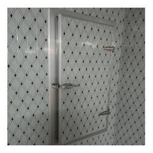 Chambre froide pour l'industrie alimentaire, logistique, grande logistique, chambre froide à accès piétonnier, projet de construction <span class=keywords><strong>d</strong></span>'entrepôt frigorifique - Product Image 6