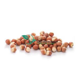 Euryales / Fruta de Gorgona / Gorgon <span class=keywords><strong>Euryale</strong></span> / Qianshi - Product Image 1