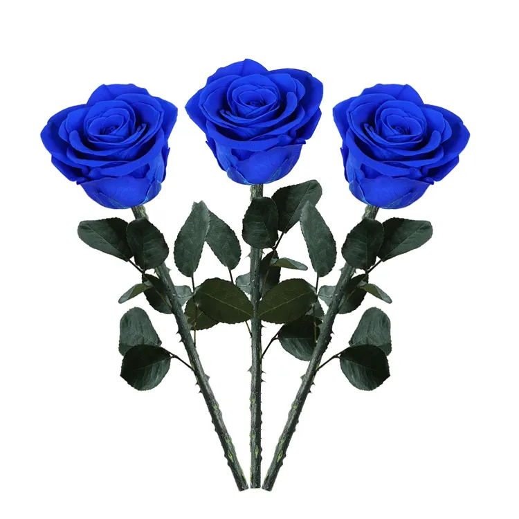 Vente en gros de roses infinies de fleurs immortelles éternelles de longue durée avec boîte rose bleue préservée avec tige pour maman grand-mère