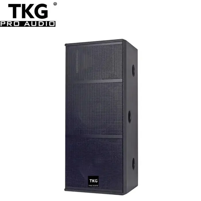 TKG DS-215 15 pouces 1000 watts scène haut-parleurs dj 1000 w double 15 pouces haut-parleur de gamme complète de système de son professionnel