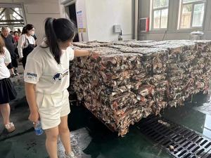 Engrais organique soluble dans l'eau à base de protéines de poisson Hiwoss, micro-particules, libération rapide, granulaire, <span class=keywords><strong>pour</strong></span> les légumes - Product Image 2