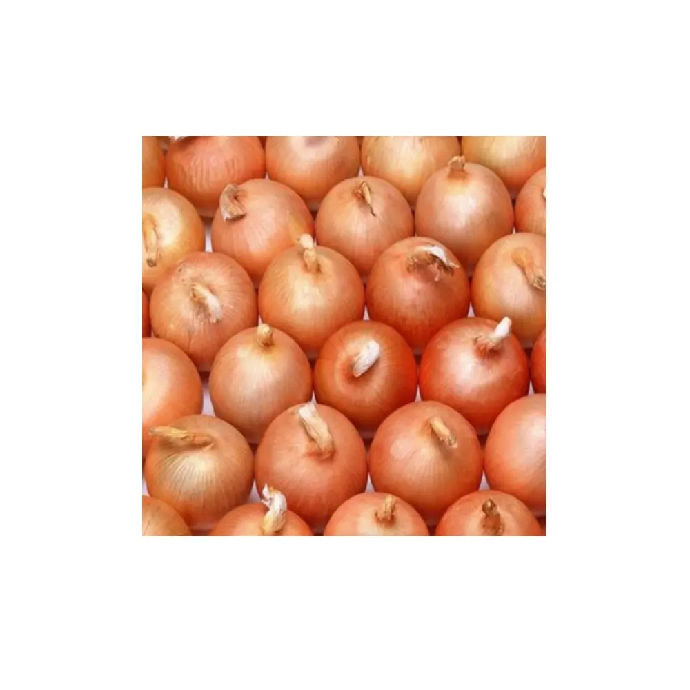 Fresh Red Onion High Grade Agricultural Product Best Offers Whole Sales From Thailand Manufacture Factory Exporter