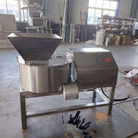 Tamarinde Fruit Kersen Mango Guave Pulpmachine Sapcentrifuge Crusher 380V Motor Hoge Productiviteit Fruit Sap Verwerkingsinstallatie