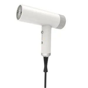 Size Hair Dryer With Coolnegative Ion Hair Dryer Bidisco High Speed DC Motor Travel Electric Plastic 1000W Concentrator Bdisco