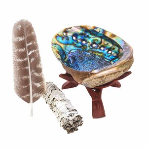 Hot bán Mexico bào ngư Vỏ làm sạch Nghi Lễ công cụ ridding điện tiêu cực - Product Image 2