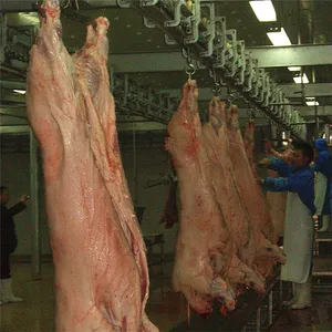 Mobile Mother Pig Abattoir Equipment For Hog Butcher Slaughterhouse