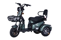 YF-MD Amoto-triciclo para adultos, tres ruedas, neumático grande, atv, citycoco, 3 ruedas, scooter Eléctrico de 500w