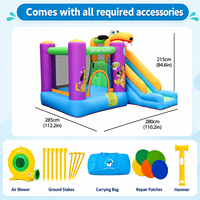 Oferta Promocional Doctor Dolphin: Casa Inflable con Tobogán, Personalizable, de Tela Oxford, para Niños, para Fiestas al Aire Libre