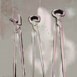 Kit de Herraduras de Acero Forjado Euro Cavall ECI-HC26-004 al por Mayor con Herramientas para el Cuidado de Cascos y Herraduras para Equitación - Product Image 3