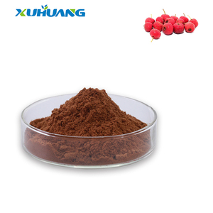 Chất lượng cao <span class=keywords><strong>Hawthorn</strong></span> Berries chiết xuất 5% flavone bán chạy nhất <span class=keywords><strong>Hawthorn</strong></span> chiết xuất từ quả - Product Image 2