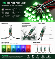 Ampoule LED RGB programmable et adressable, étanche, pour éclairage intelligent de paysage, de bâtiment et de décoration architecturale