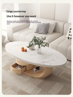 Table basse de salon moderne et minimaliste en ardoise et bois massif, style luxe léger, pour petit appartement, usage domestique, forme ovale